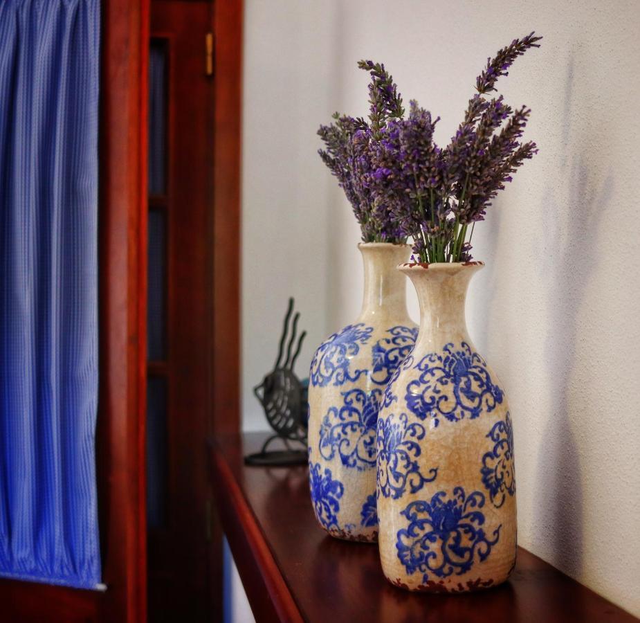 コインブラ Quinta Do Regaloヴィラ エクステリア 写真
